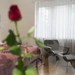 Apartament Luxury Bauhaus *